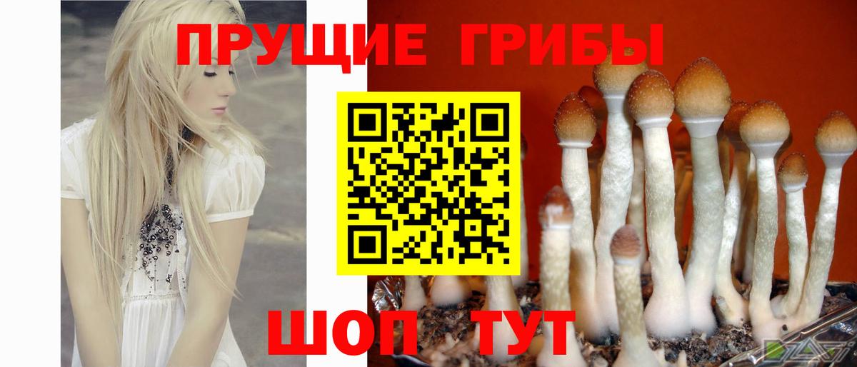 Усть-Джегута  Галлюциногенные грибы мухоморы  Вход с VPN  продажа наркотиков  Псилоцибиновые грибы Magic Shrooms 